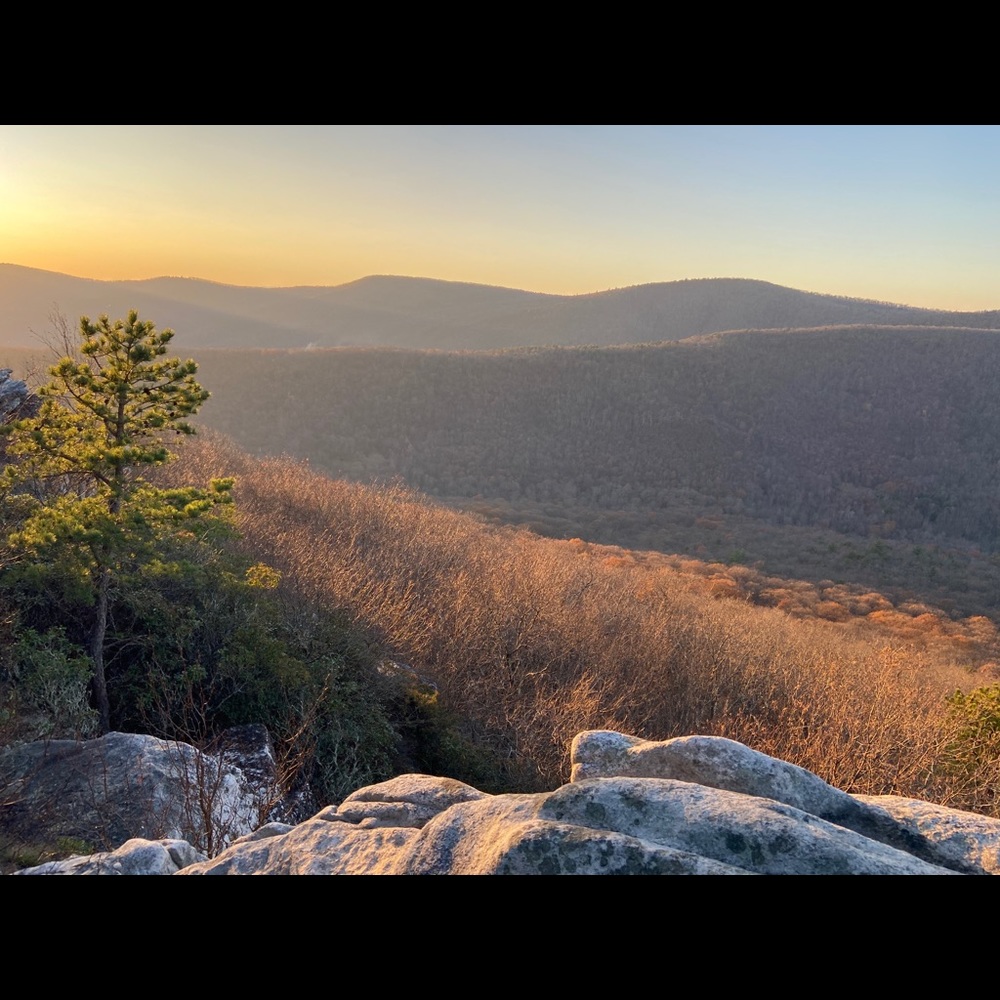 Meet your Posher, Joy